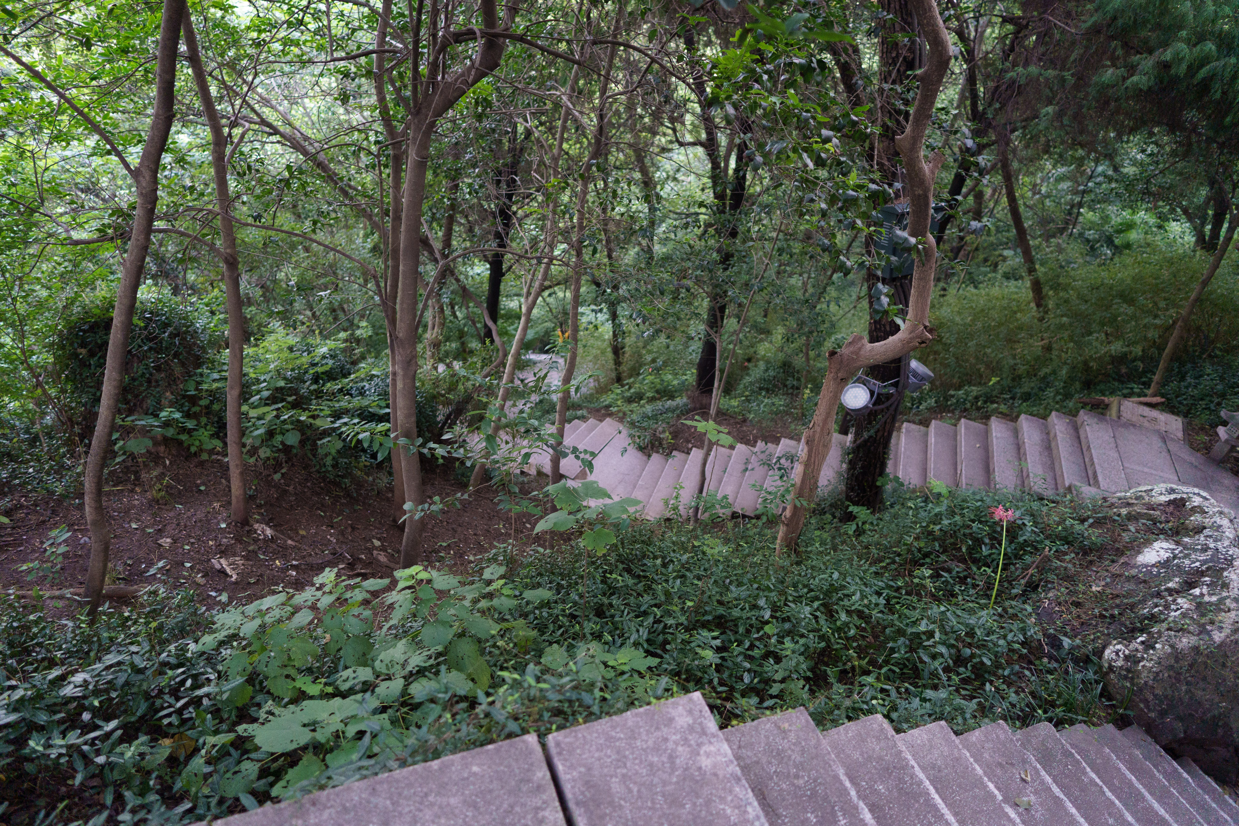 DSC05673